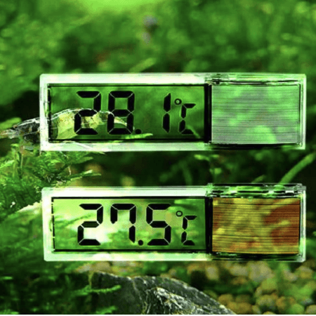 Transparent LCD Digital Thermometer