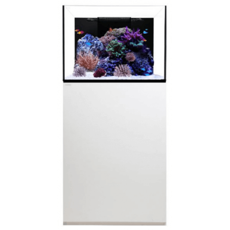 Waterbox Platinum Reef 70.2 white