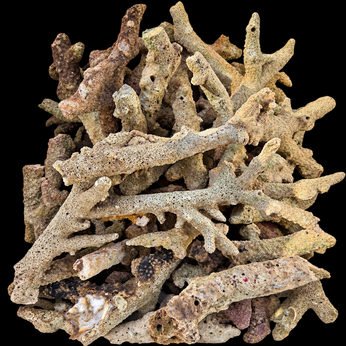 Wild live rock (bones) Indonesia 5 kg.