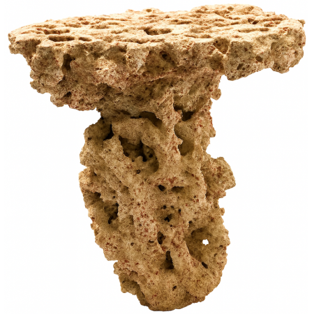 CaribSea Moani Shrooms (Box of 2)