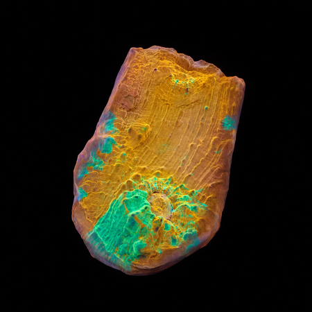 Chalice Frag (Ong. 2-3 cm) WYSIWYG (1776189854549)