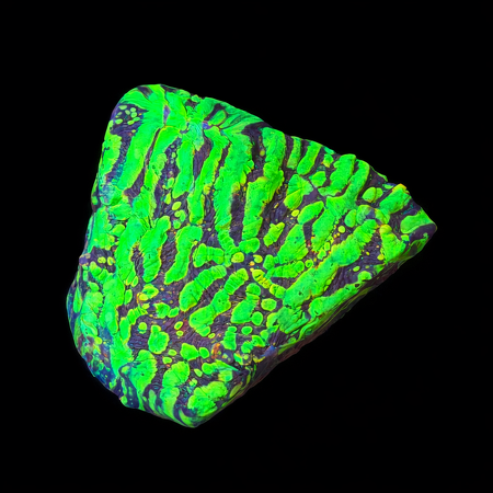 Chalice moonfire ridge Frag (Approx. 2-3 cm) WYSIWYG (1783884307683)