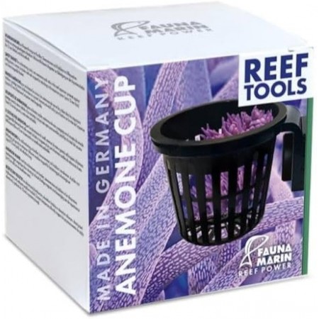 Fauna Marin Anemone Cup