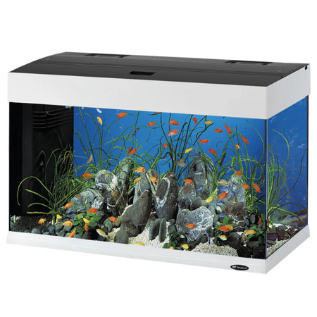 Ferplast DUBAI aquarium LED