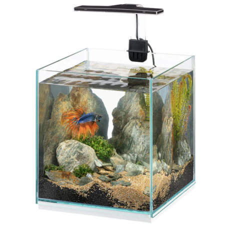 Ferplats TONGA aquaria