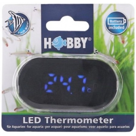 Hobby LED Thermometer