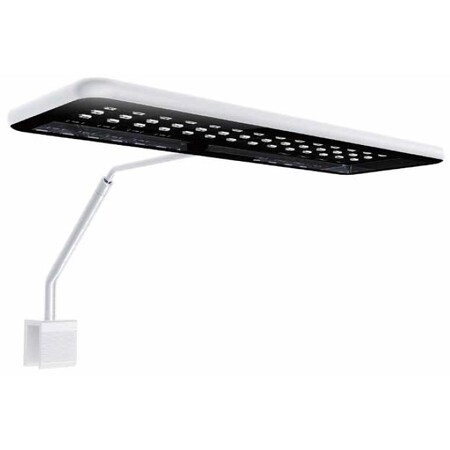 MicMol Aqua CC 30 (Marine)