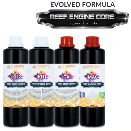 Modern Reef - RKS REEF ENGINE CORE 7.7x High Concentrate - 4×500 ml
