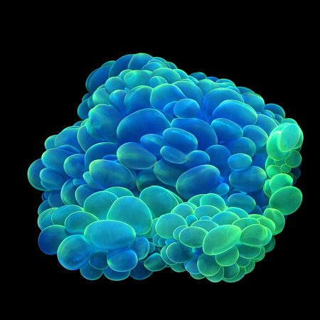 Plerogyra Sinuosa Ultra Crafted WYSIWYG (1770755256246)