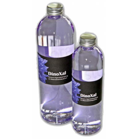 QFI DinoXal