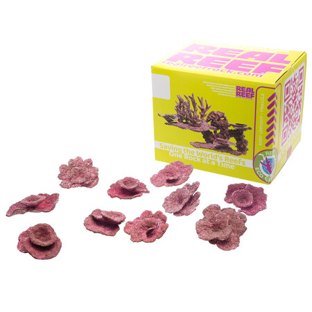 Real Reef Rock - Real Reef Mini Plate Corals - 10 stuks