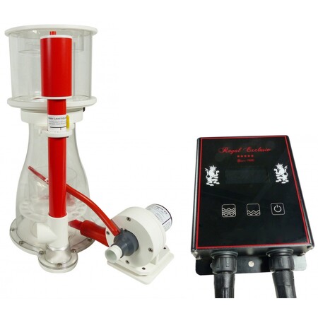 Royal Exclusiv Bubble King Double Cone 200 + BK DC 24V