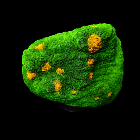 Space invaders Chalice Frag (Approx. 2-3 cm) WYSIWYG (1778573510239)