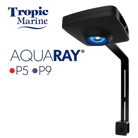 TMC AquaRay P5 Connect – Smart LED Lighting for Reef Aquariums