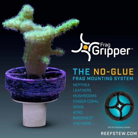 VCA Frag Gripper No-Glue-Frag Mounting System Black - 25 pcs